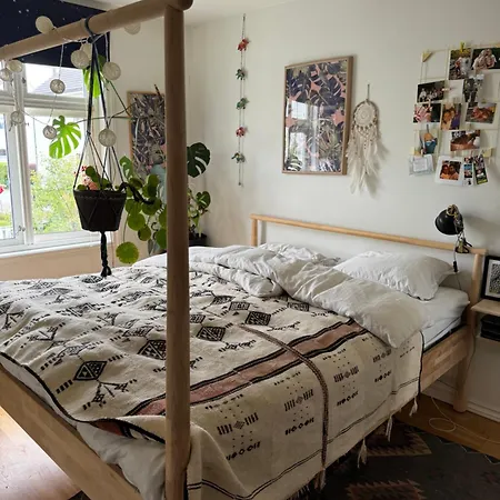 Cozy, And Homely Apartment