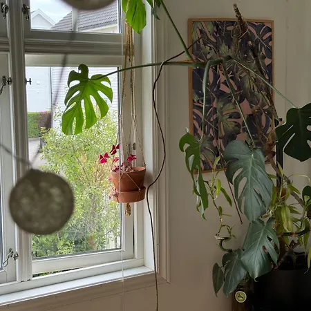Cozy, And Homely Apartment Stavanger