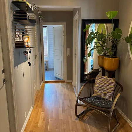 Apartment Cozy, And Homely *