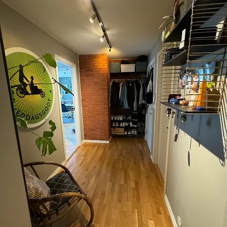 Apartment Cozy, And Homely